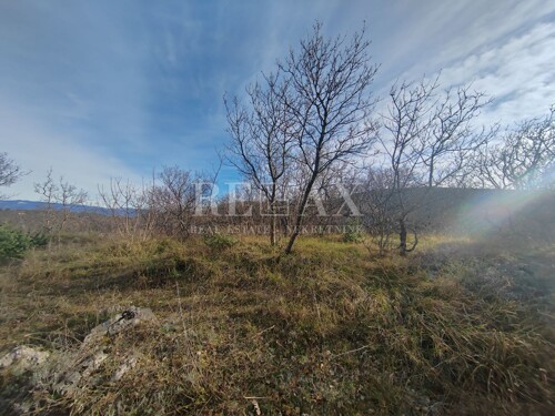 Thumbnail 6214594 - 5