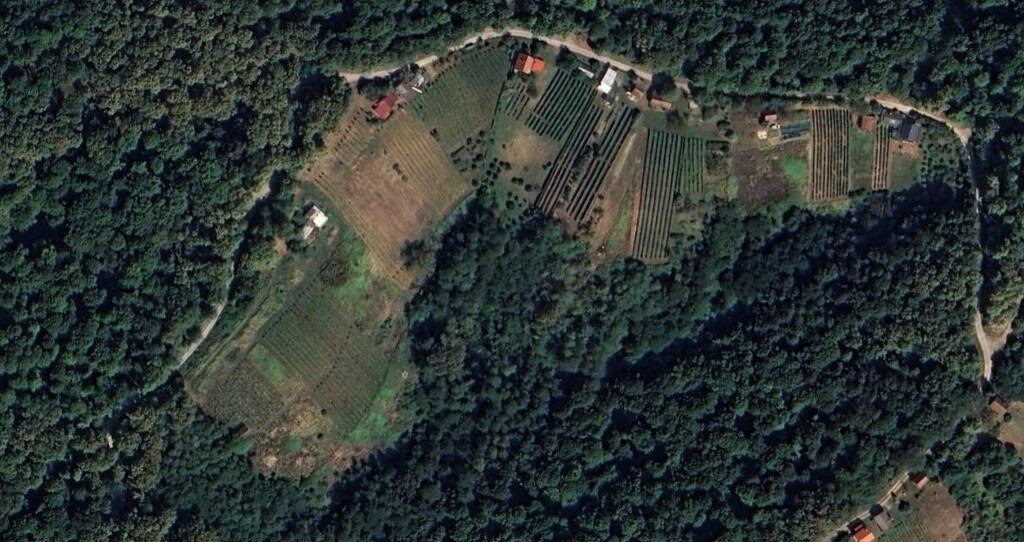 Image 6214609 - 2