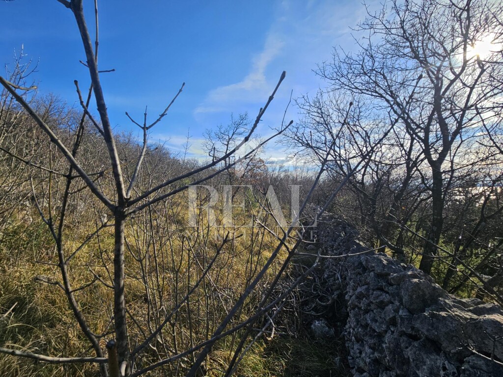 Image 6214624 - 13