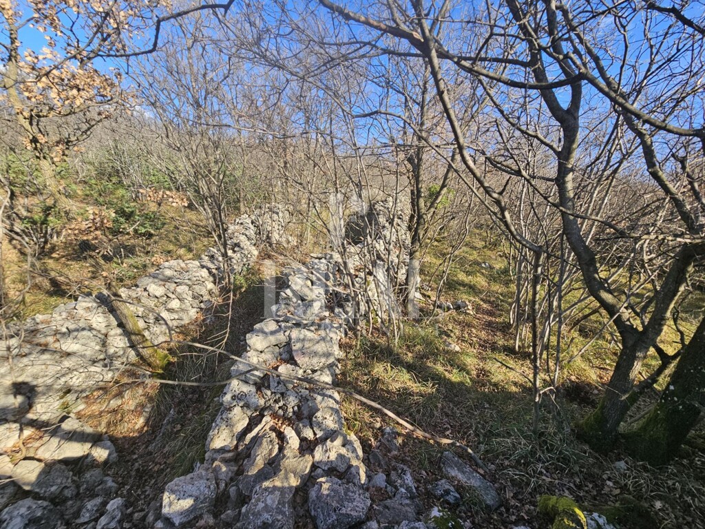 Image 6214624 - 4
