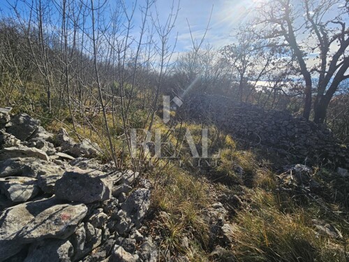 Thumbnail 6214624 - 6