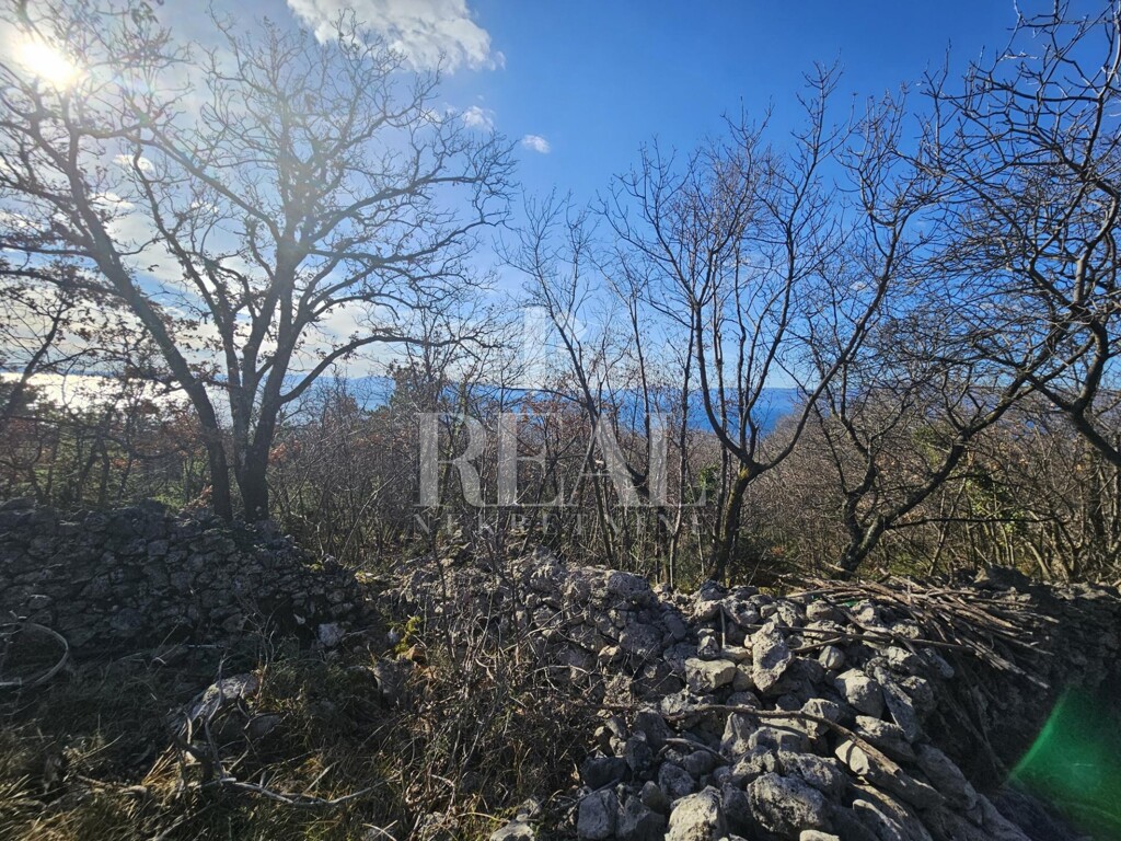 Image 6214624 - 7