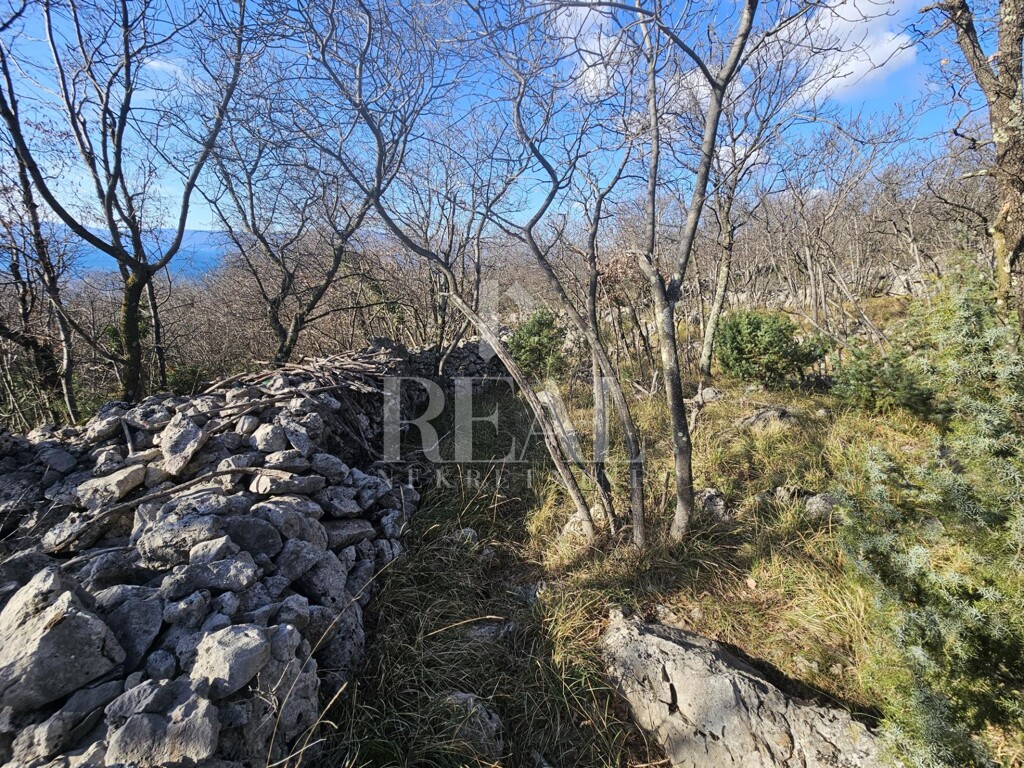 Image 6214624 - 5
