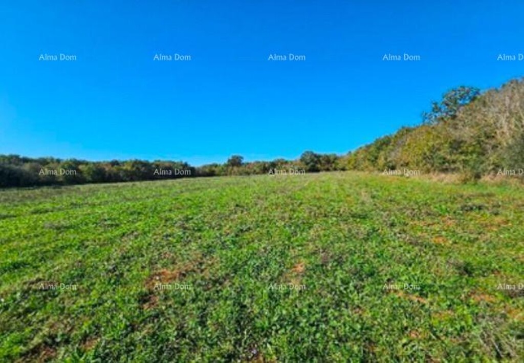 Image 6214640 - 5