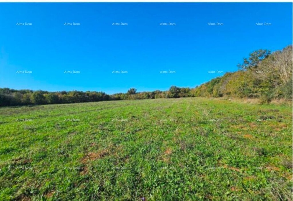 Image 6214640 - 1