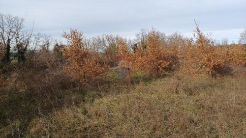Thumbnail 6214667 - 5
