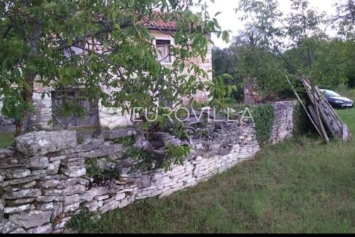 Thumbnail 6215012 - 6