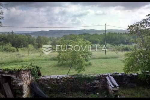 Thumbnail 6215012 - 3
