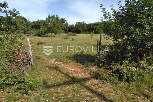 Istra, Poreč - poljoprivredno zemljište 62710 m2