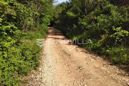 Thumbnail 6215021 - 9
