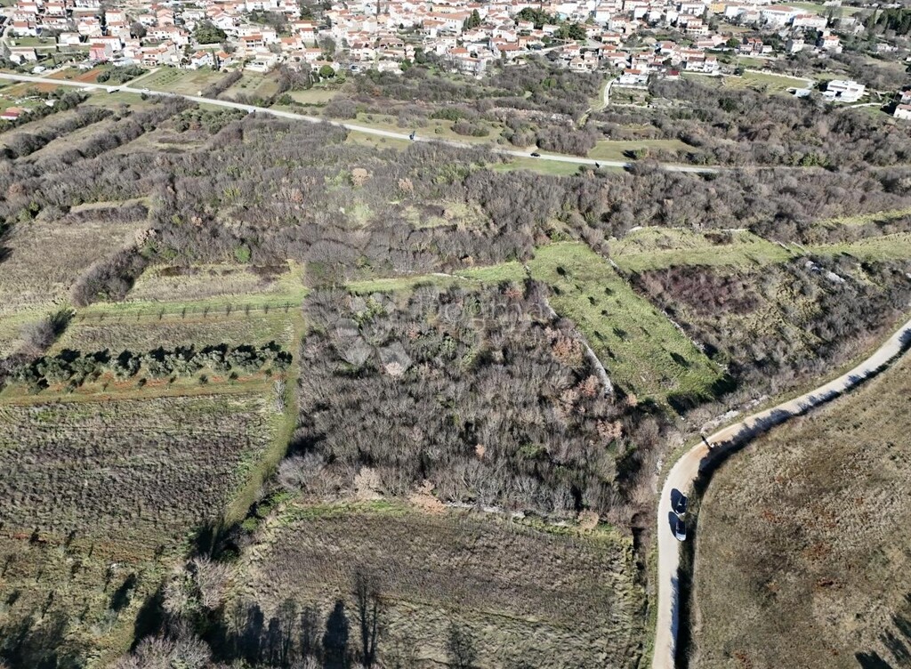 Image 6215052 - 4