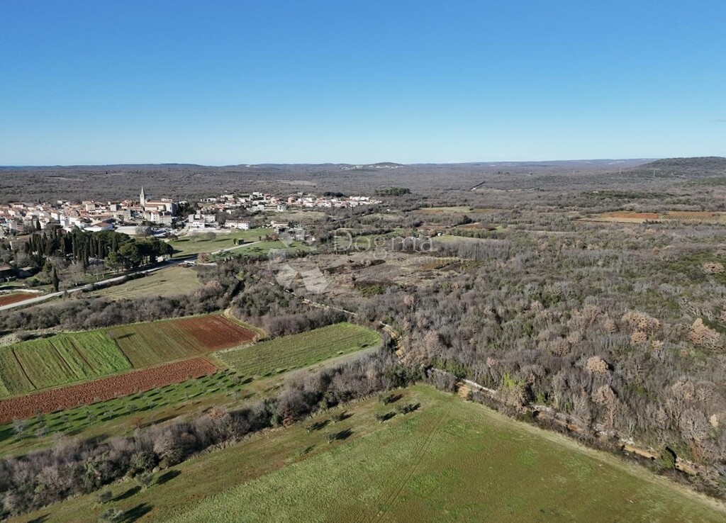 Image 6215056 - 1