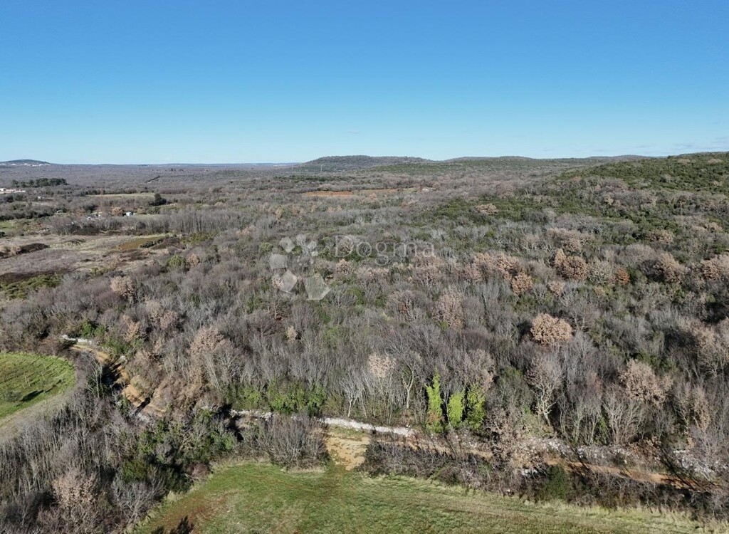 Image 6215057 - 7