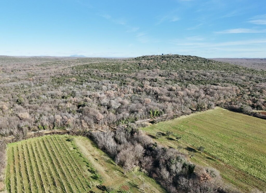 Image 6215057 - 4