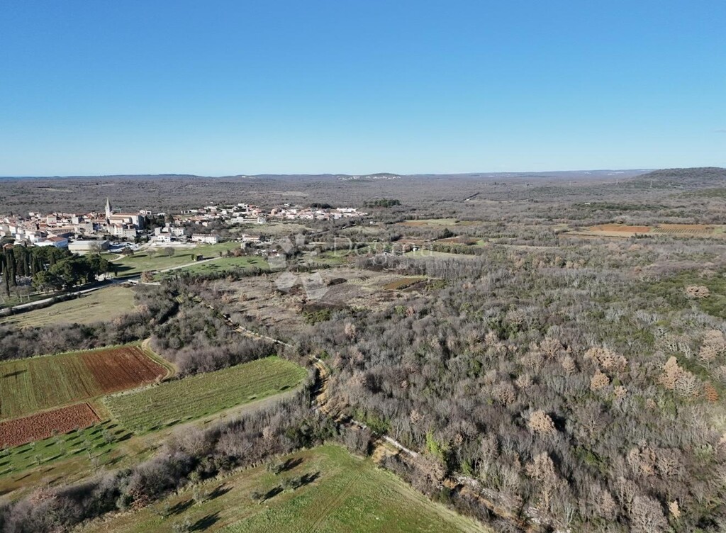 Image 6215057 - 6