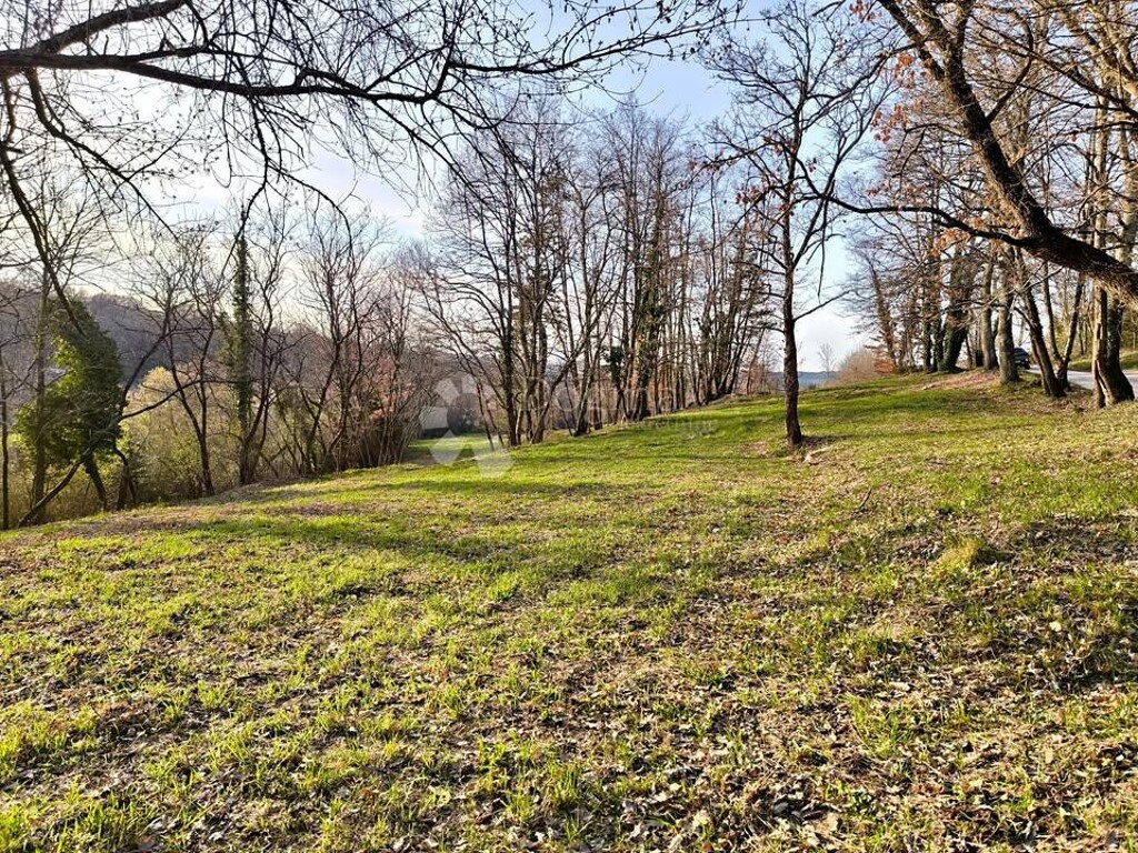 Image 6215062 - 4