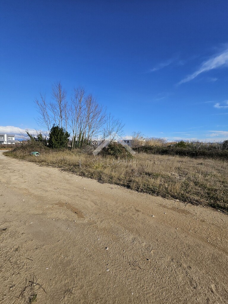 Image 6215069 - 4