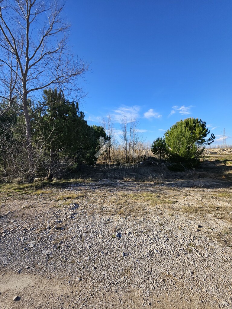 Image 6215071 - 2
