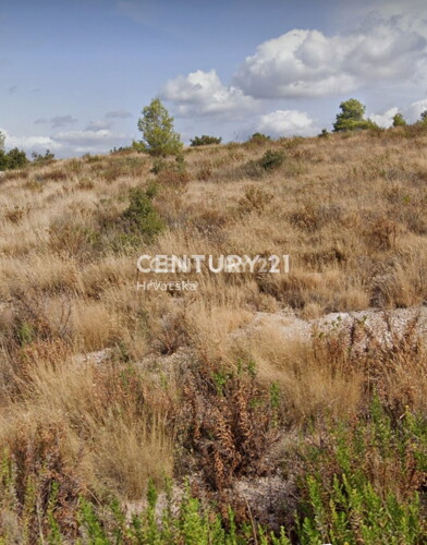 Thumbnail 6215148 - 3