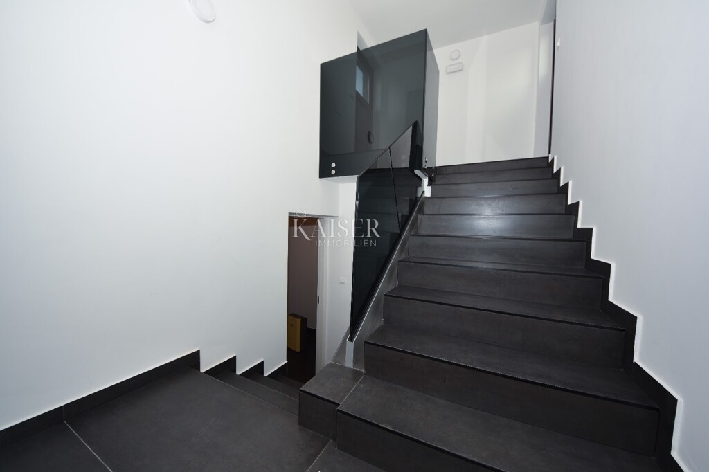 Image 6215231 - 21