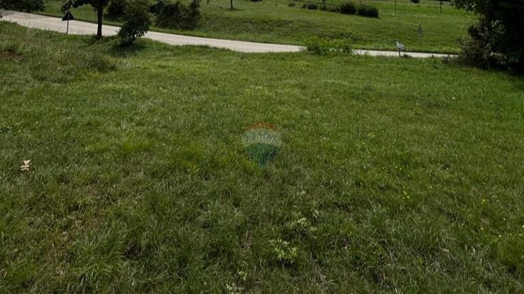Image 6215266 - 3