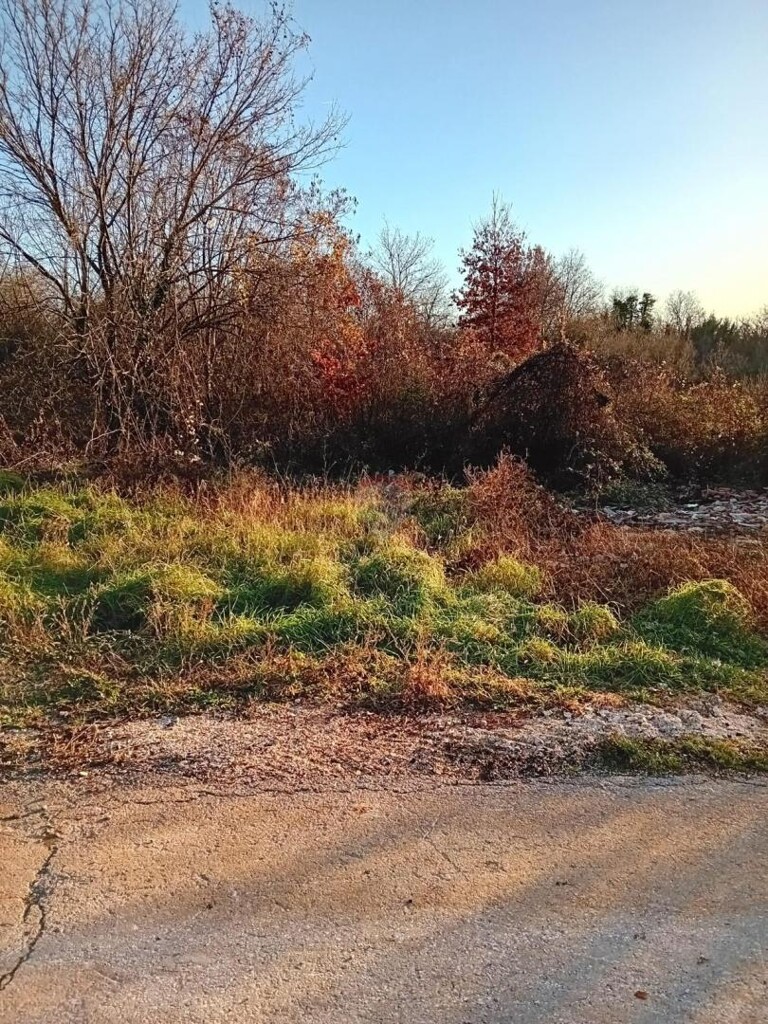 Image 6215270 - 3