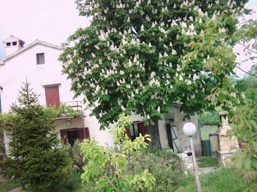 Imanje sa kućom i dvije starine, Boljun, Istra