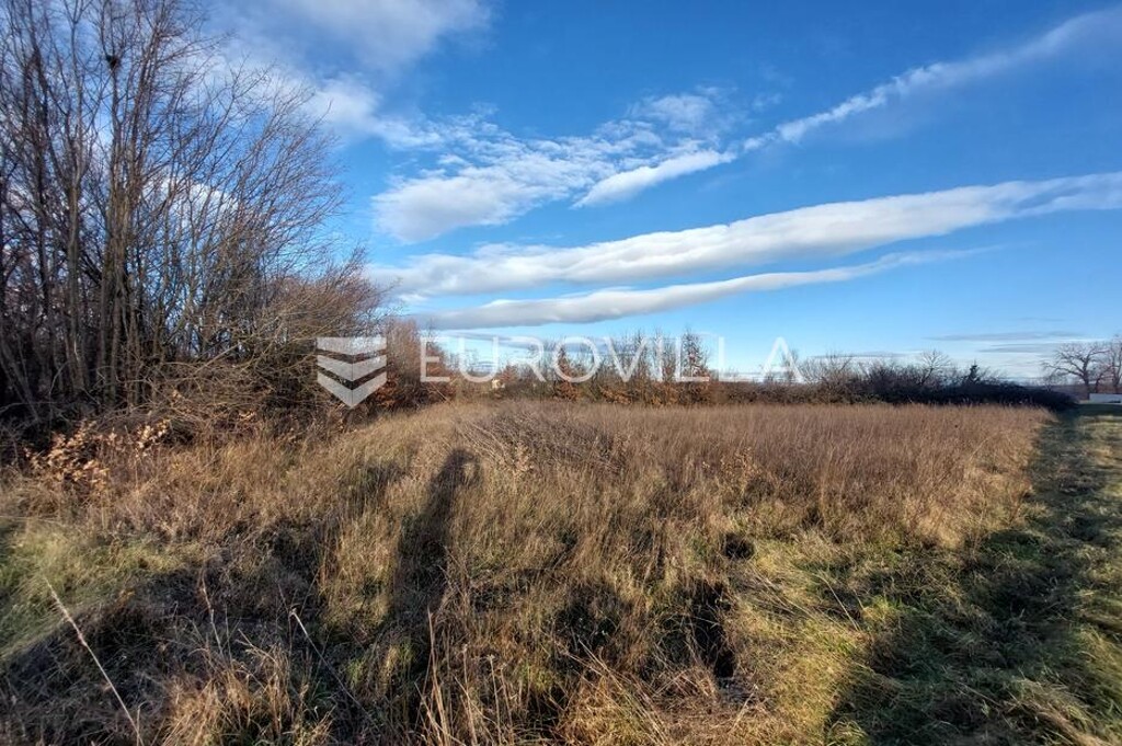 Image 6215680 - 4
