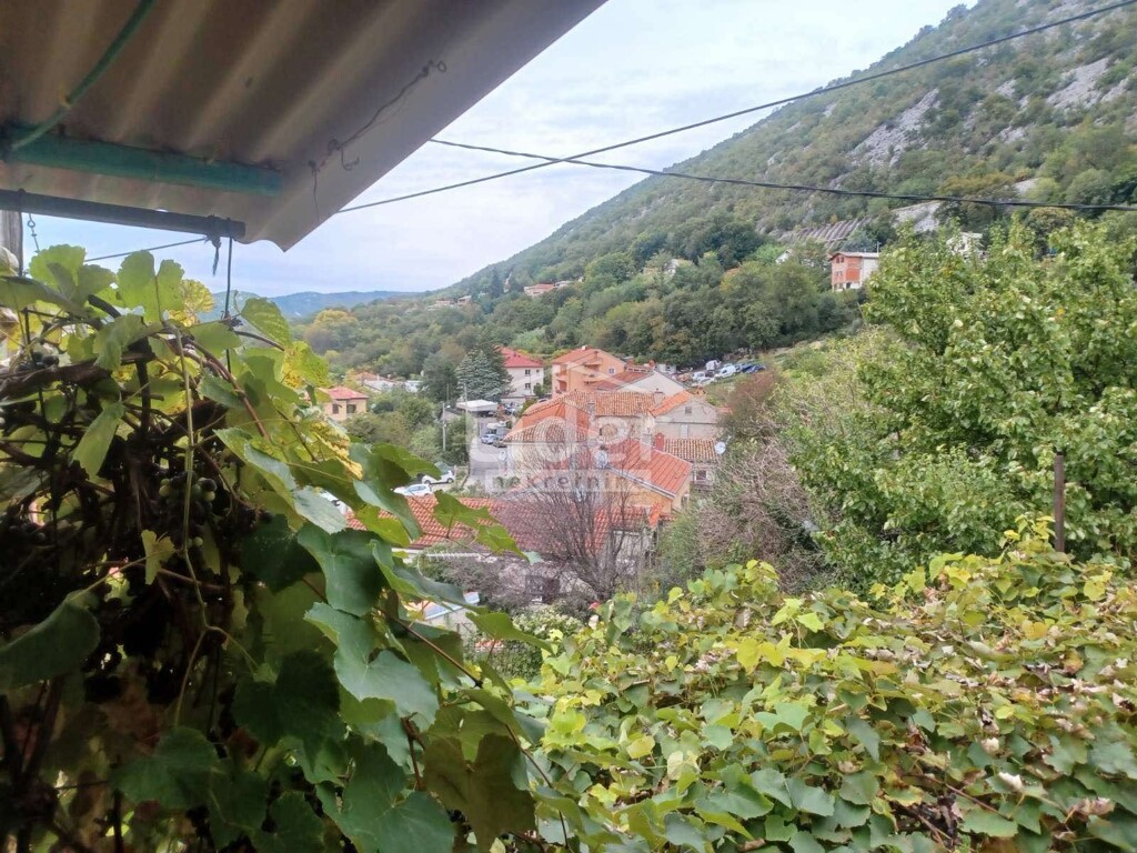 Image 6215696 - 2