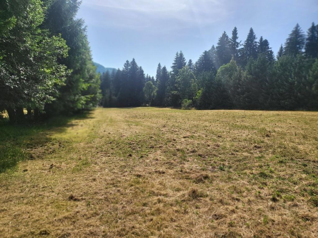 Image 6215755 - 5