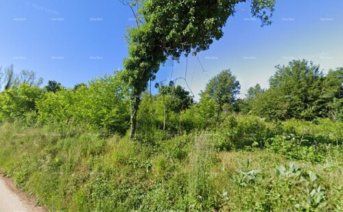 Thumbnail 6215803 - 1
