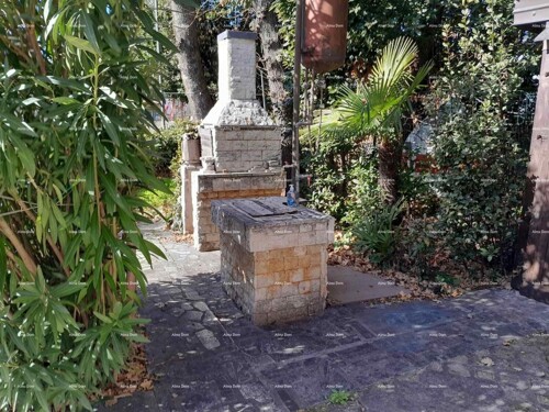 Kuća Prodajemo stan u kuci sa vrtom.