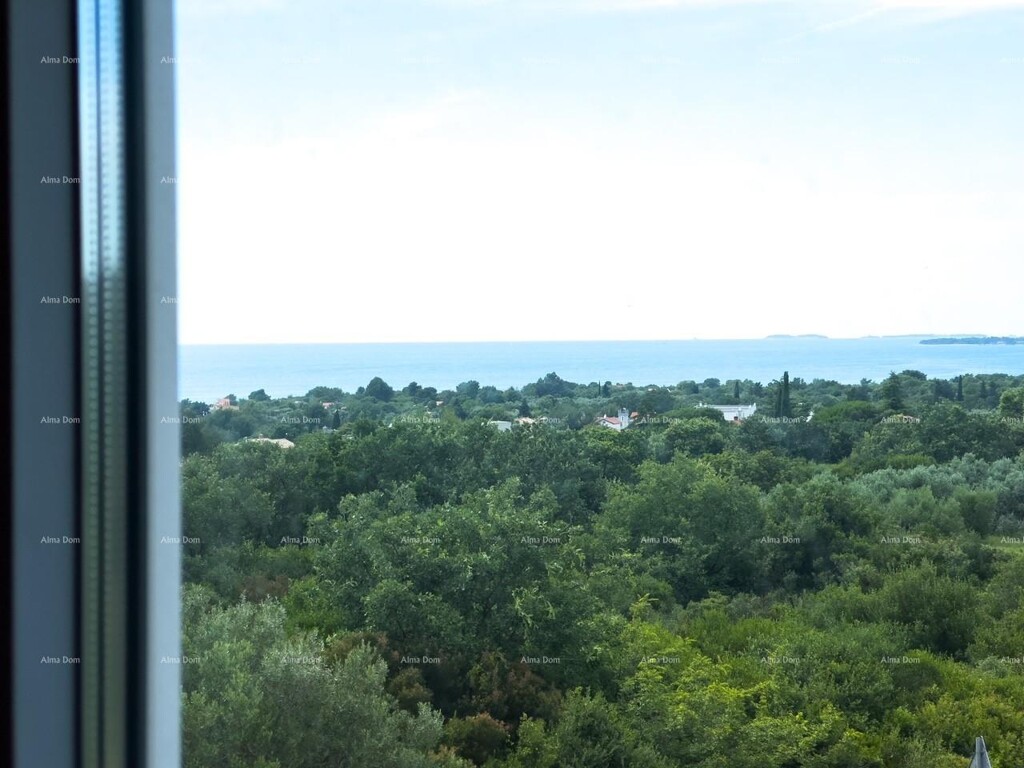 Image 6215844 - 11