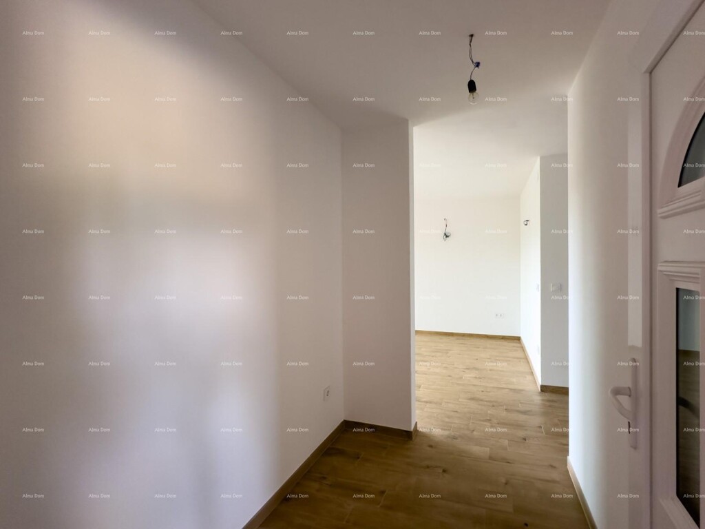 Image 6215850 - 4