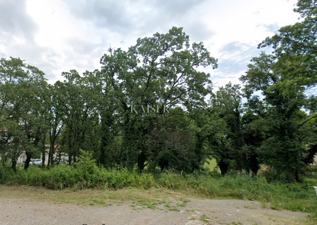 Image 6215882 - 1
