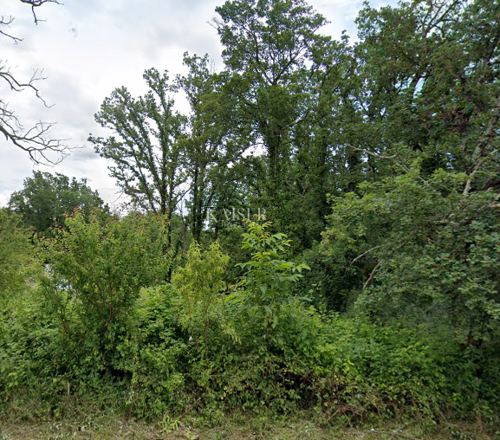 Thumbnail 6215882 - 2