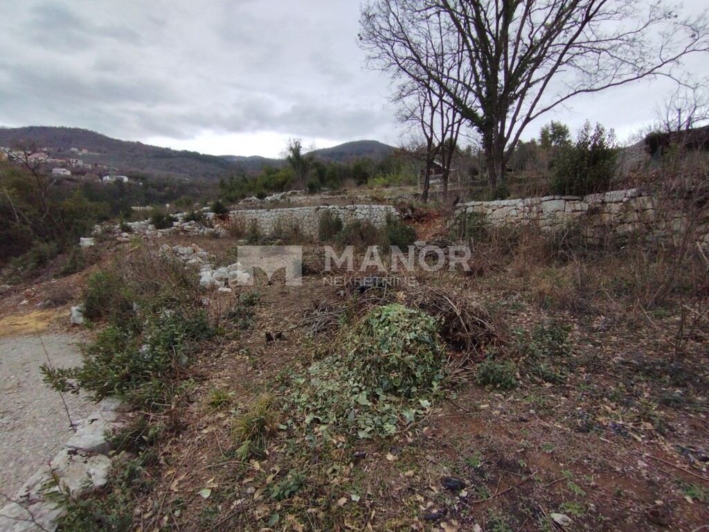Image 6215889 - 4