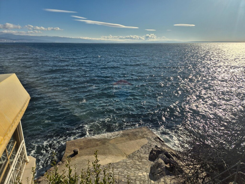 Image 6215909 - 5