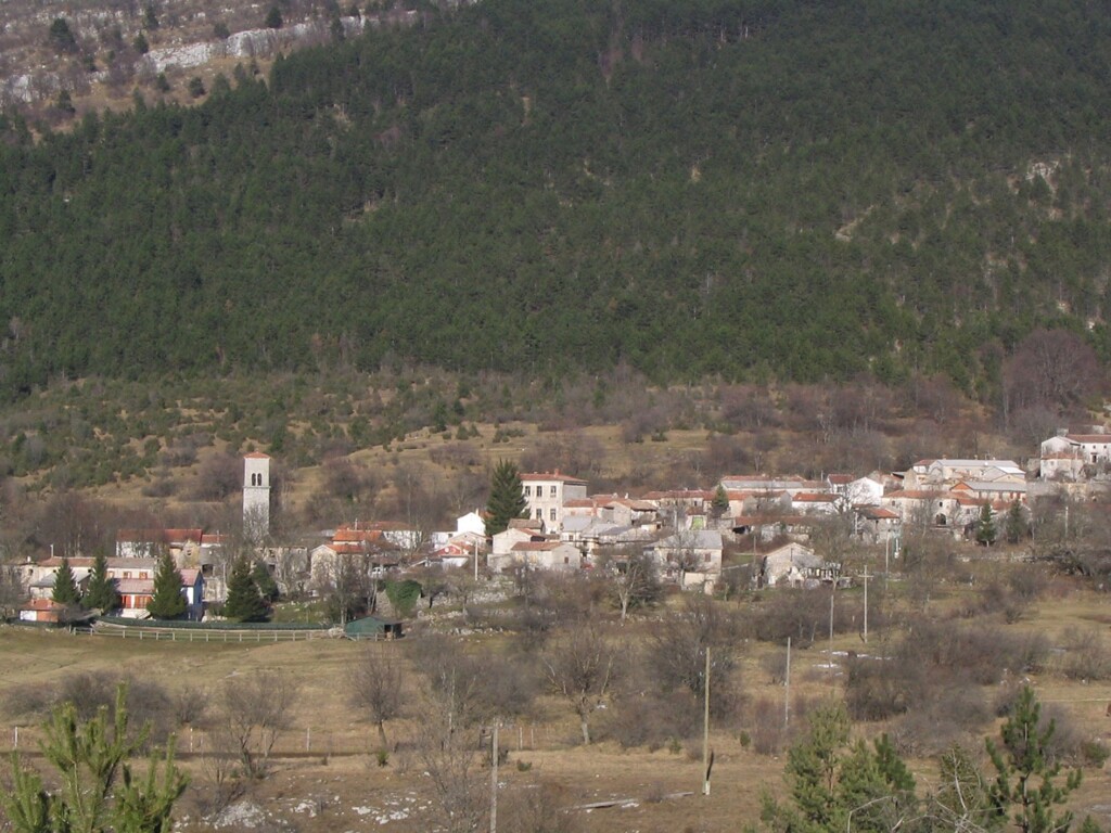 Image 6215938 - 1