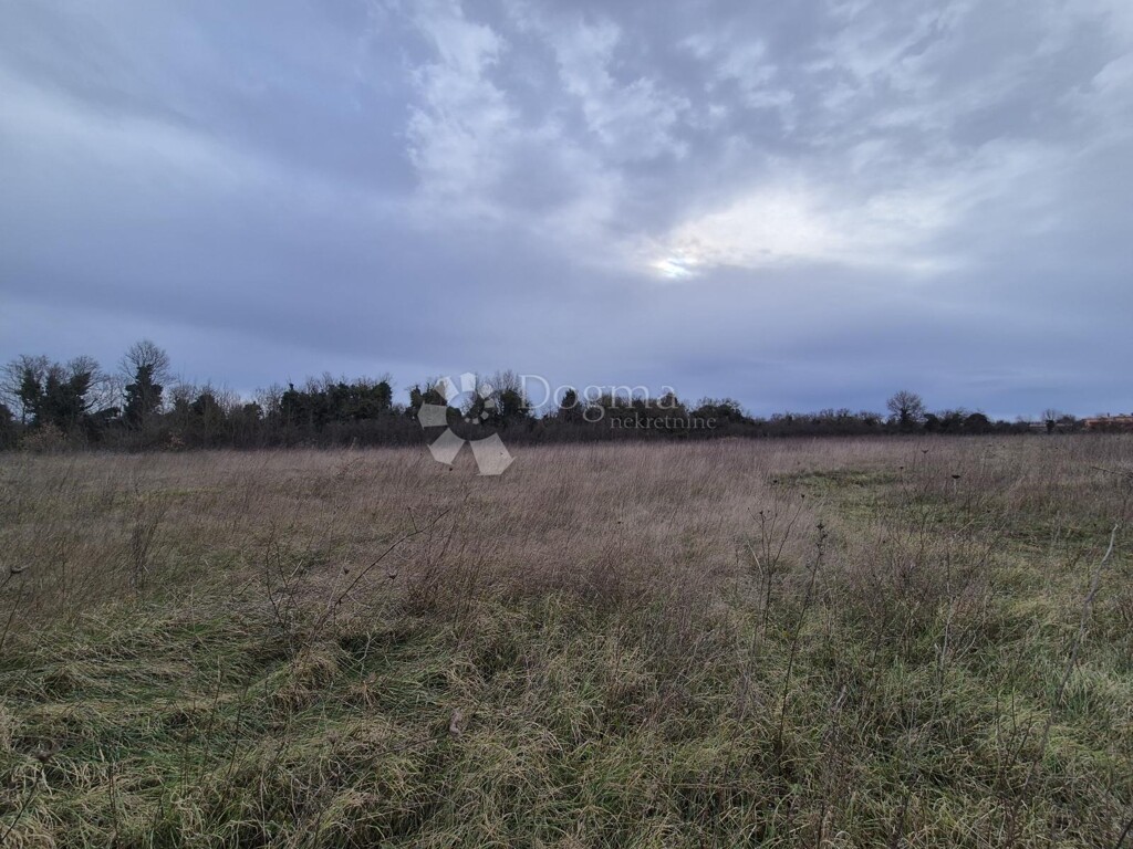 Image 6216254 - 3