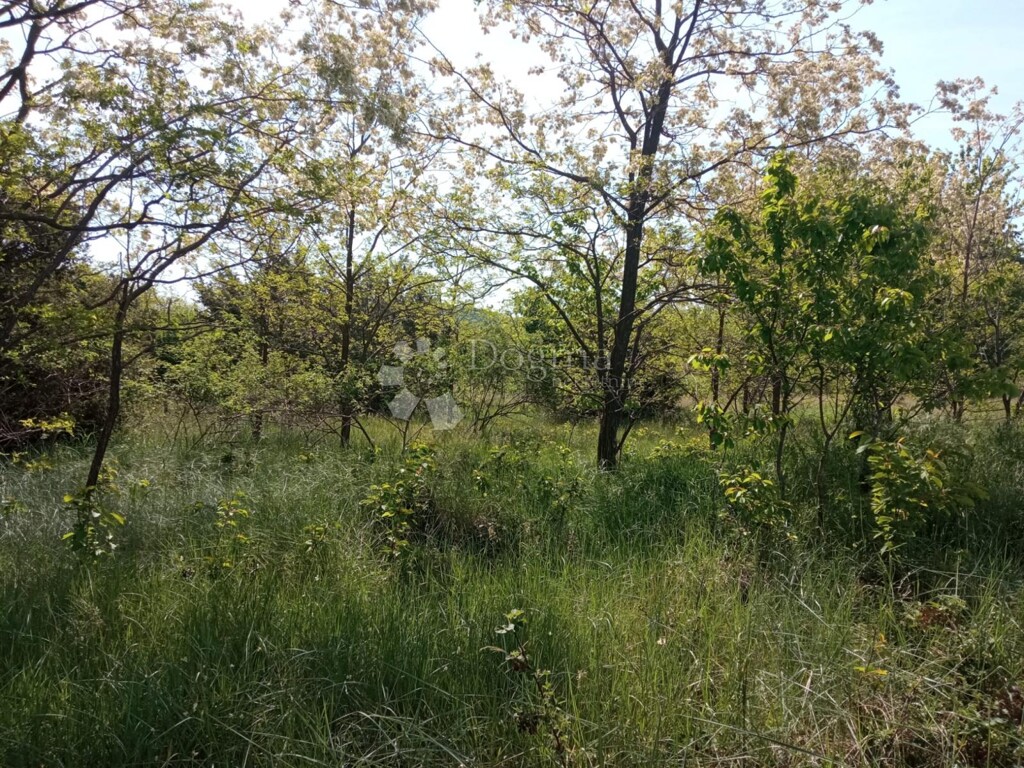 Image 6216257 - 1