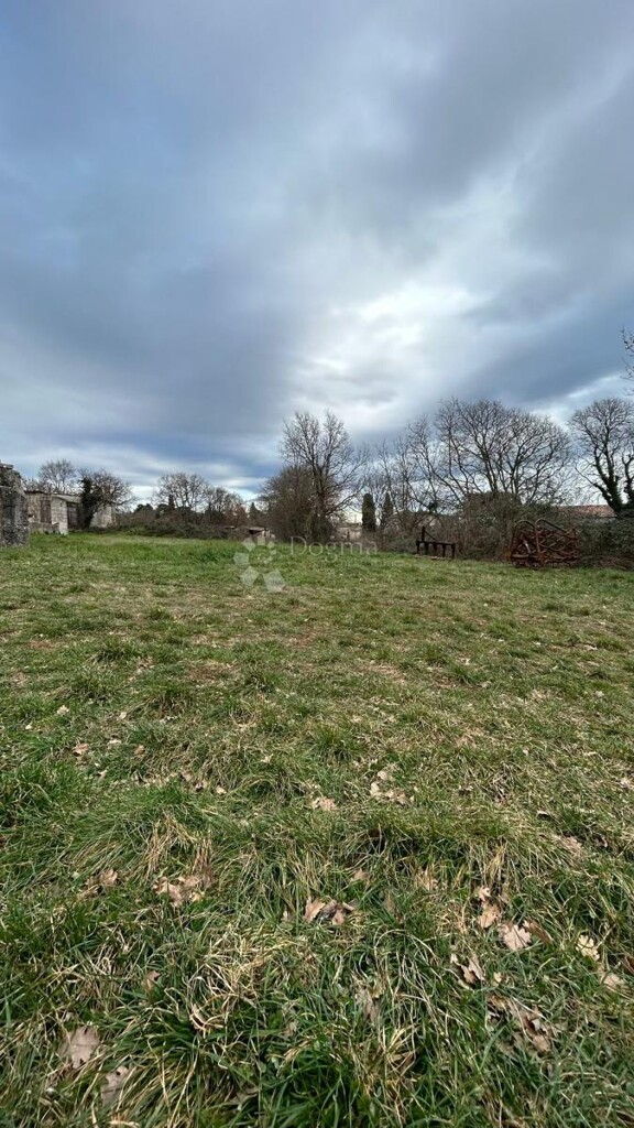 Image 6216258 - 1