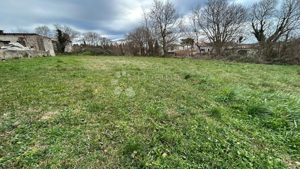 Image 6216258 - 2