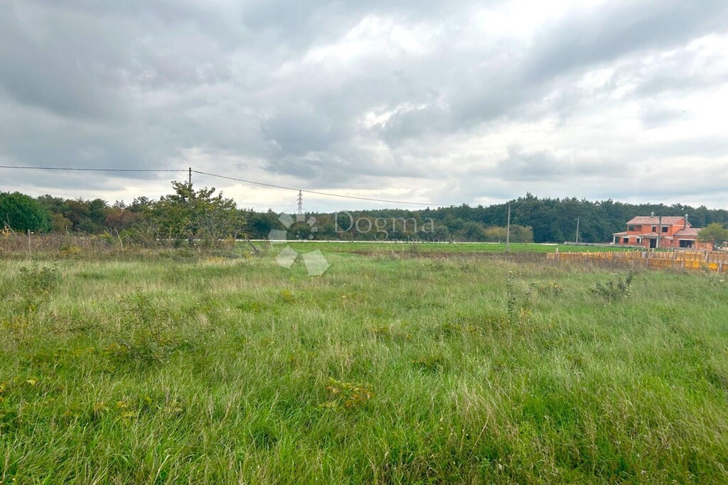 Image 6216260 - 2