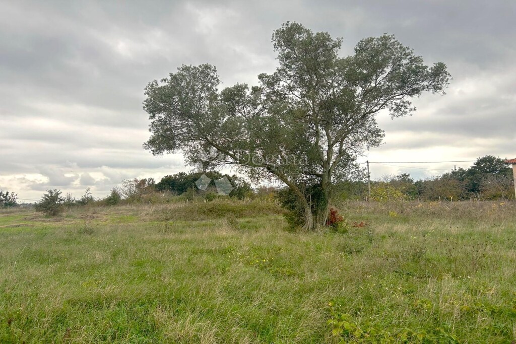 Image 6216260 - 1