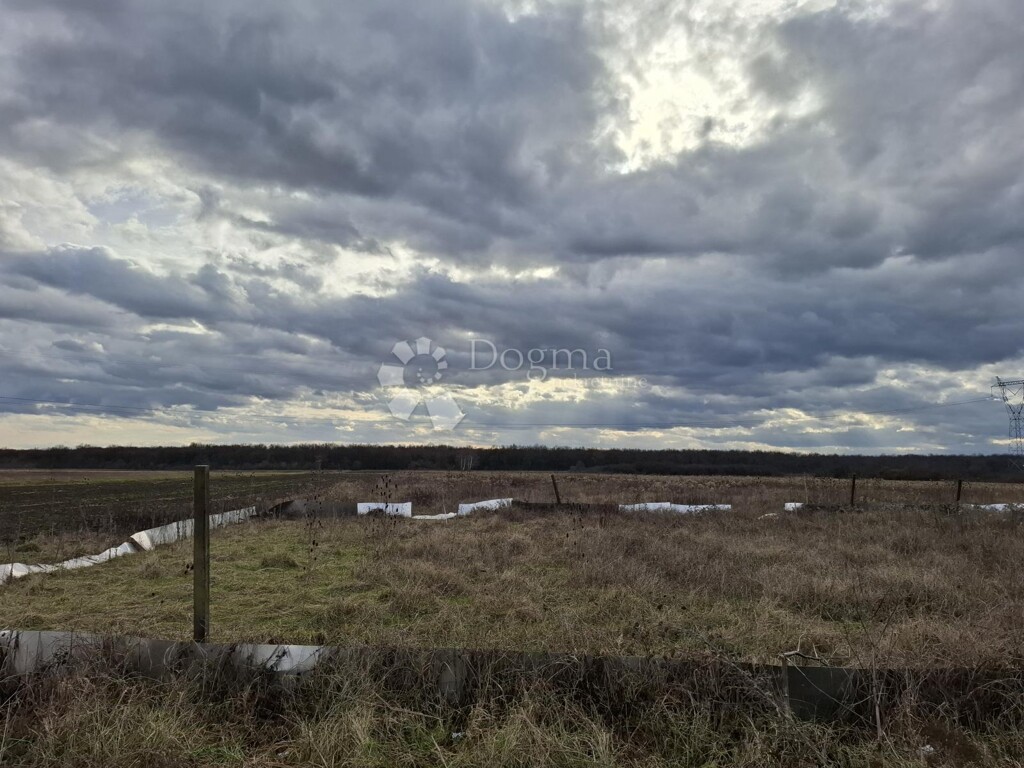 Image 6216295 - 3