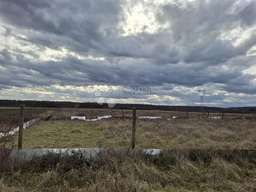Image 6216295 - 1
