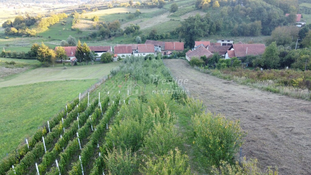 Image 6216346 - 2