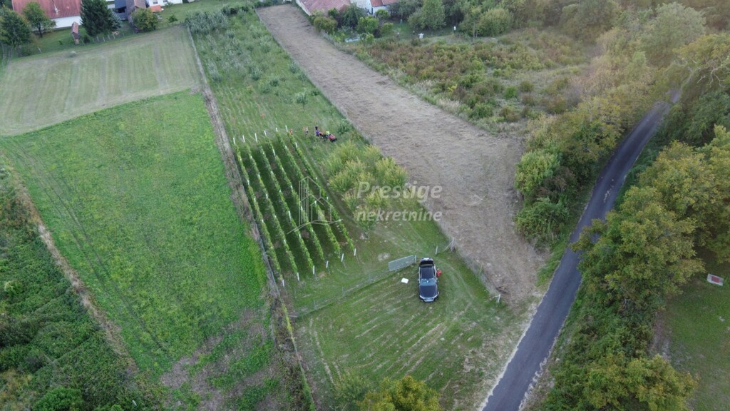 Image 6216346 - 3
