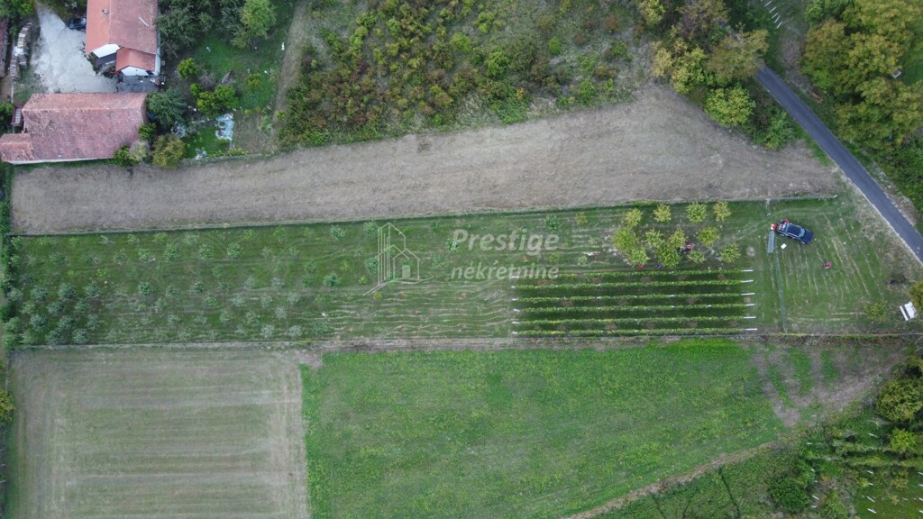 Image 6216346 - 4